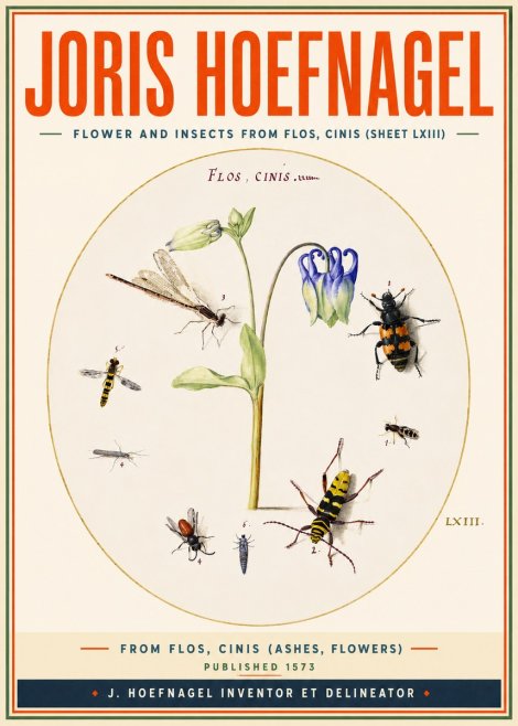 Joris Hoefnagel Insects and a Flower Study No4 - Poster