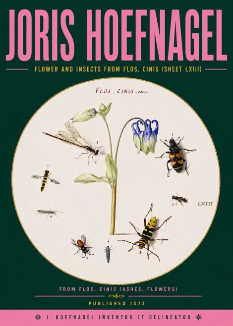 Joris Hoefnagel Insects and a Flower Study No6 - Poster