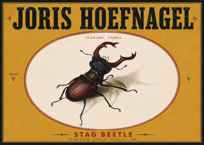 Joris Hoefnagel Stag Beetle No5 - Poster