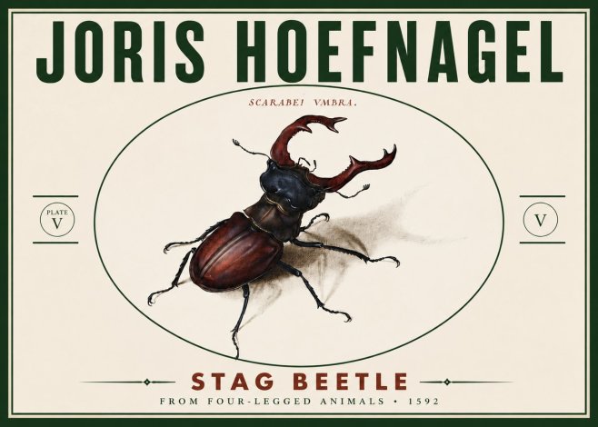 Joris Hoefnagel Stag Beetle No6 - Poster