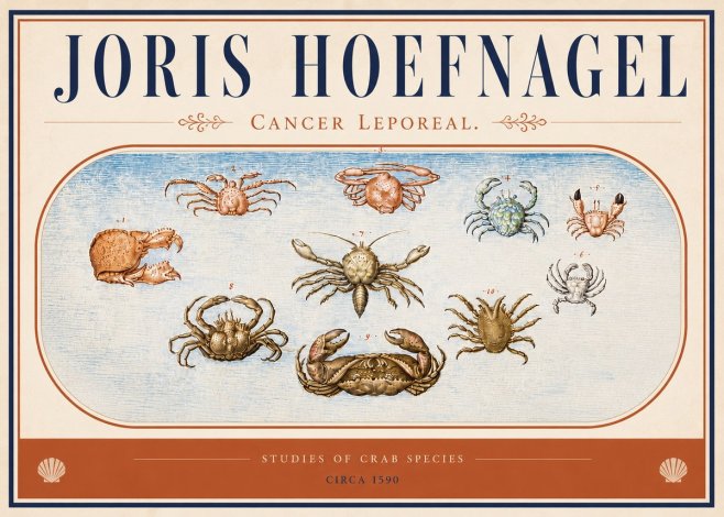 Joris Hoefnagel Cancer Leporeal. No4 - Poster