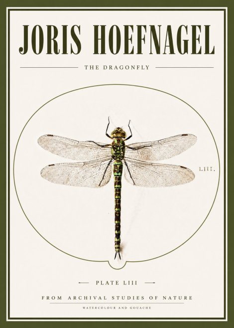 Joris Hoefnagel The Dragonfly No3 - Poster