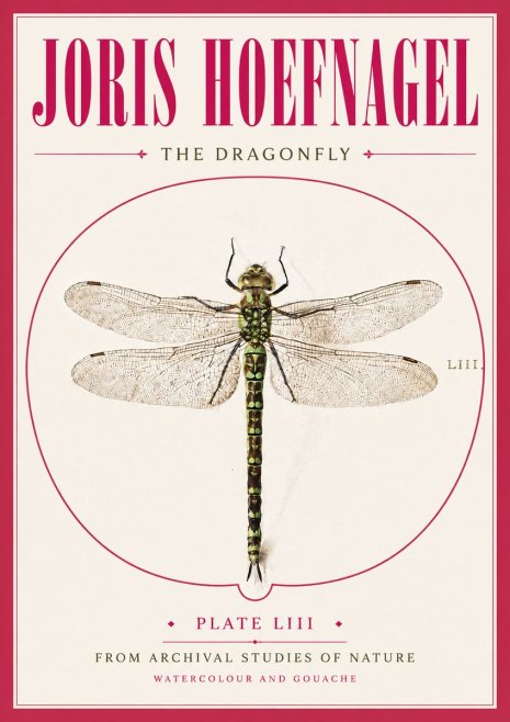 Joris Hoefnagel The Dragonfly No5 - Poster