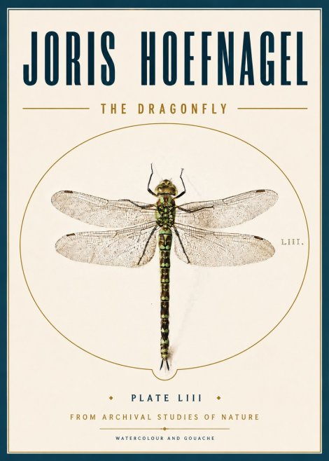 Joris Hoefnagel The Dragonfly No6 - Poster