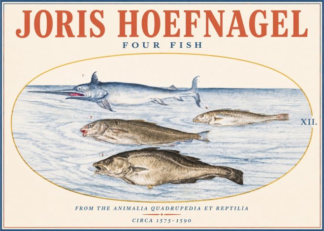 Joris Hoefnagel Four Fish No3 - Poster