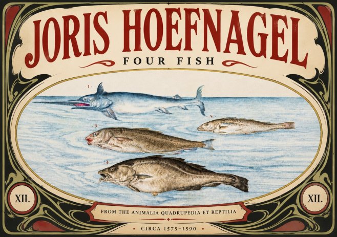 Joris Hoefnagel Four Fish No4 - Poster