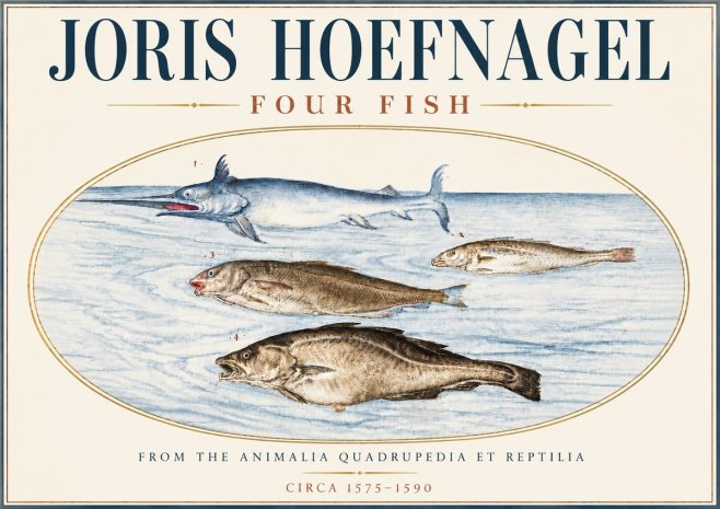 Joris Hoefnagel Four Fish No6 - Poster