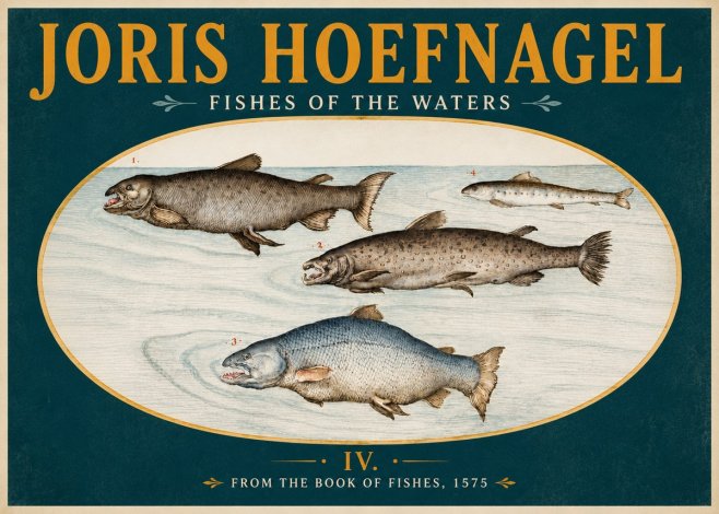 Joris Hoefnagel Fishes of the Waters I No5 - Poster