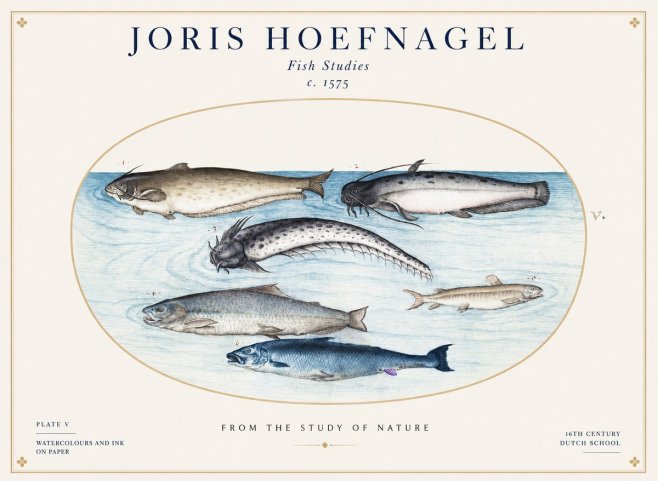 Joris Hoefnagel Fish of the Waters No2 - Poster