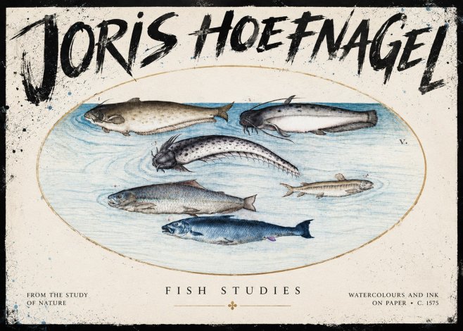 Joris Hoefnagel Fish of the Waters No5 - Poster