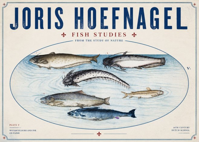 Joris Hoefnagel Fish of the Waters No6 - Poster