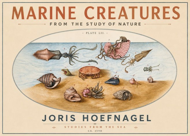 Joris Hoefnagel Marine Creatures - Plate Lii No5 - Poster