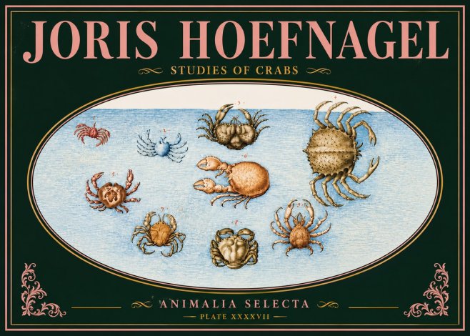 Joris Hoefnagel Studies of Crabs No5 - Poster