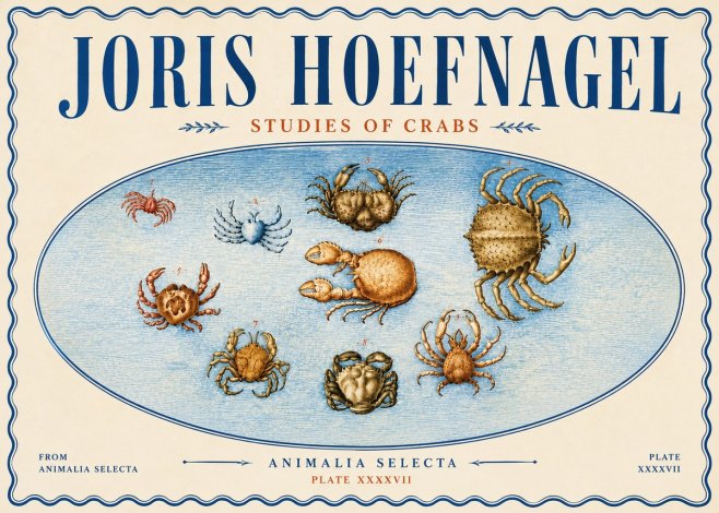 Joris Hoefnagel Studies of Crabs No6 - Poster
