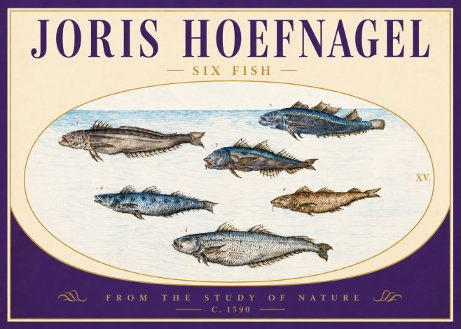 Joris Hoefnagel Six Fish No4 - Poster