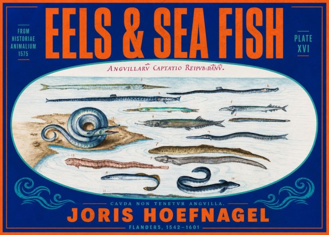 Joris Hoefnagel Eels and Sea Fish No4 - Poster
