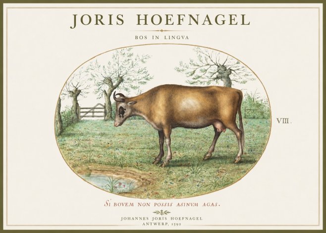 Joris Hoefnagel Bos in Lingva No1 - Poster