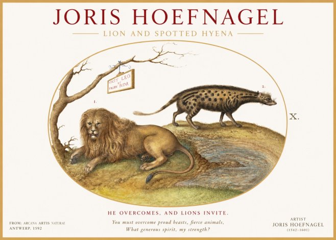 Joris Hoefnagel Lion and Spotted Hyena No1 - Poster