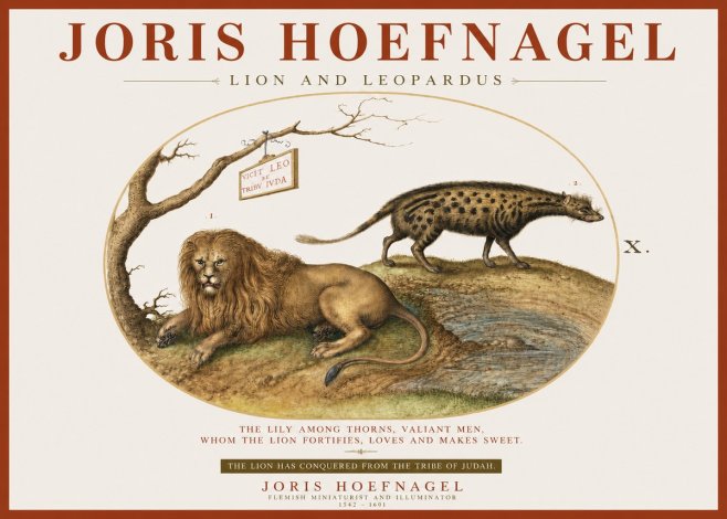 Joris Hoefnagel Lion and Spotted Hyena No4 - Poster
