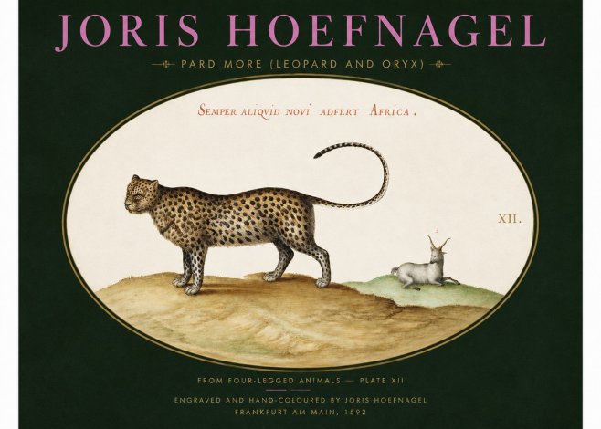 Joris Hoefnagel Pard More (Leopard and Oryx) No2 - Poster