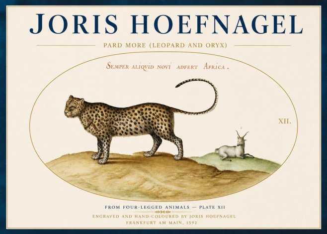 Joris Hoefnagel Pard More (Leopard and Oryx) No4 - Poster