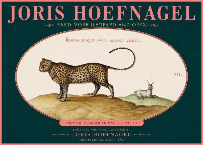 Joris Hoefnagel Pard More (Leopard and Oryx) No5 - Poster