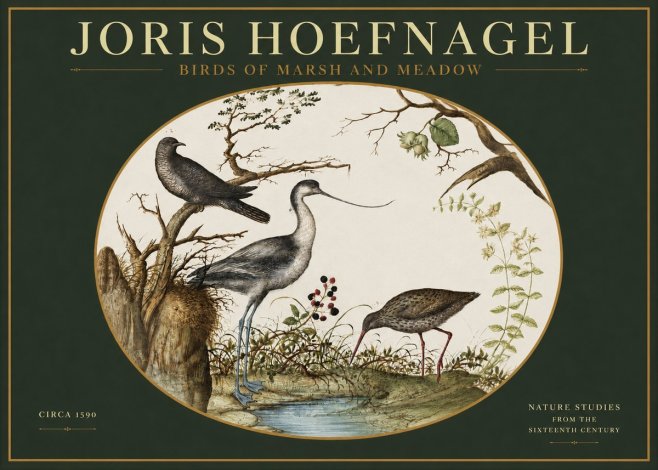 Joris Hoefnagel Birds of Marsh and Meadow No2 - Poster