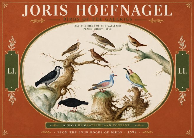 Joris Hoefnagel Birds of the Galeries No4 - Poster