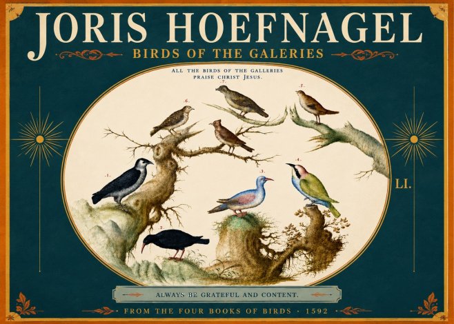Joris Hoefnagel Birds of the Galeries No5 - Poster