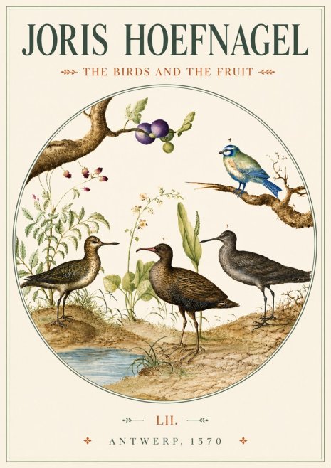 Joris Hoefnagel The Birds and the Fruit No3 - Poster