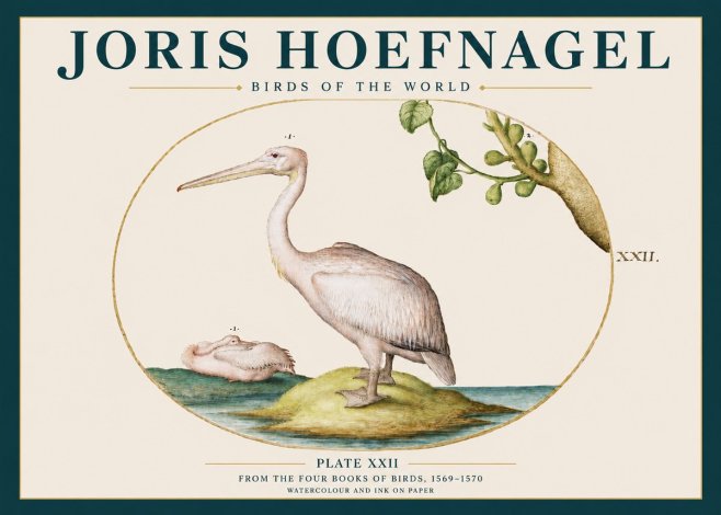 Joris Hoefnagel Plate Xxii No3 - Poster