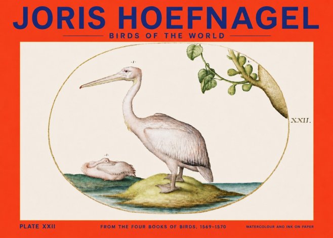 Joris Hoefnagel Plate Xxii No4 - Poster