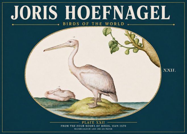 Joris Hoefnagel Plate Xxii No5 - Poster