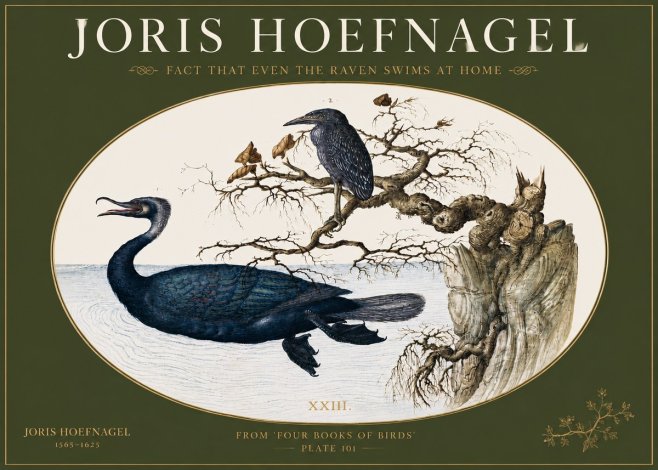 Joris Hoefnagel Fact That Even the Raven Swims at Home No3 - Poster