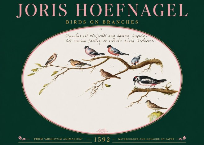 Joris Hoefnagel Birds on Branches No2 - Poster