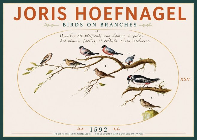 Joris Hoefnagel Birds on Branches No4 - Poster