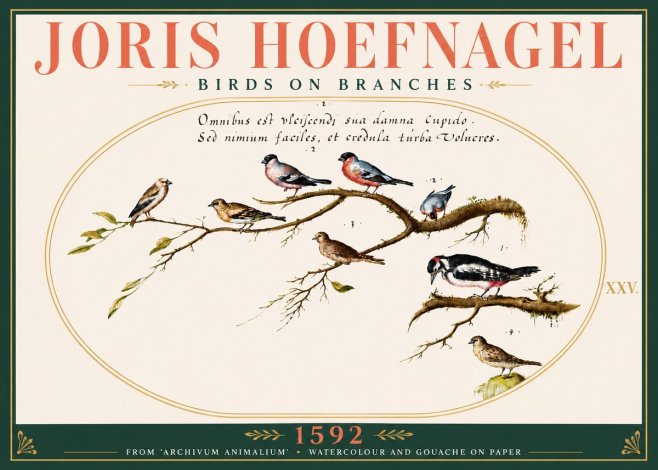 Joris Hoefnagel Birds on Branches No6 - Poster
