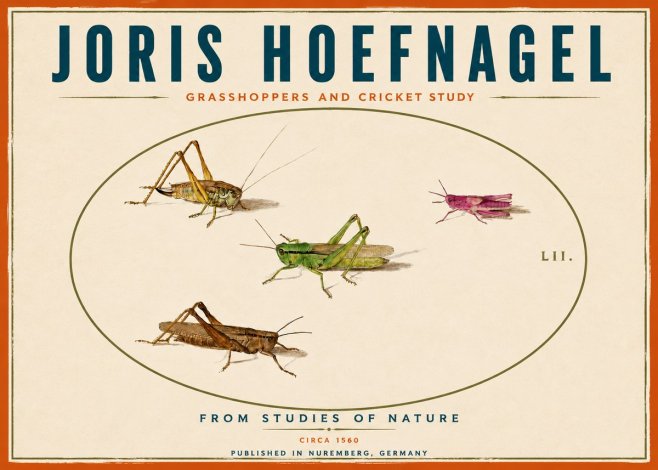 Joris Hoefnagel Three Grasshoppers and a Locust No6 - Poster