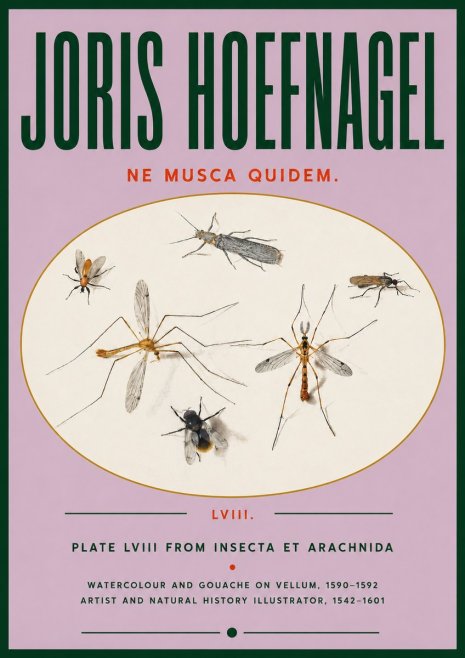Joris Hoefnagel Plate Lviii from Insecta Et Arachnida No4 - Poster