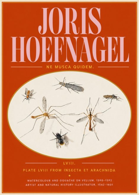 Joris Hoefnagel Plate Lviii from Insecta Et Arachnida No5 - Poster