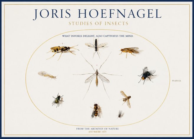 Joris Hoefnagel Studies of Insects III No1 - Poster