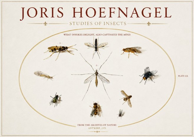 Joris Hoefnagel Studies of Insects III No3 - Poster