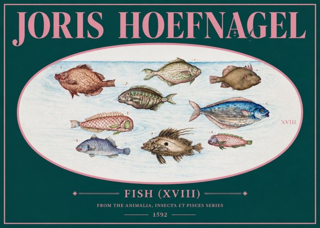Joris Hoefnagel Studies of Fish I No3 - Poster