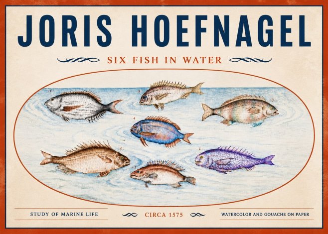 Joris Hoefnagel Six Fish in Water No5 - Poster