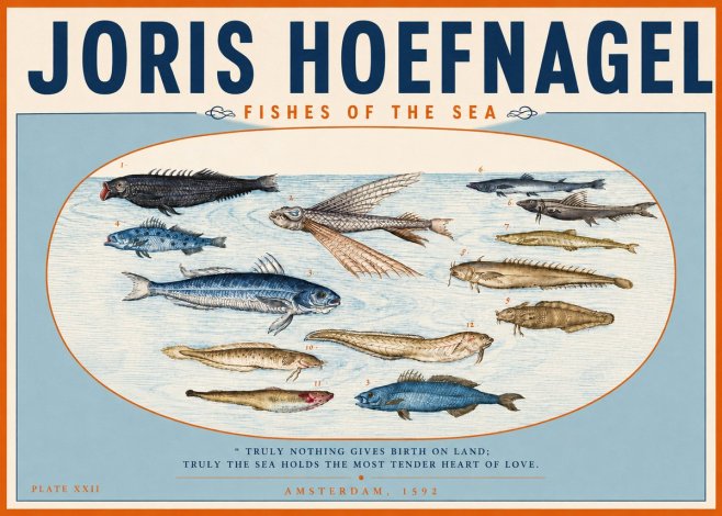 Joris Hoefnagel Fishes of the Sea I No3 - Poster