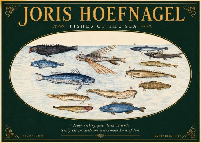 Joris Hoefnagel Fishes of the Sea I No5 - Poster