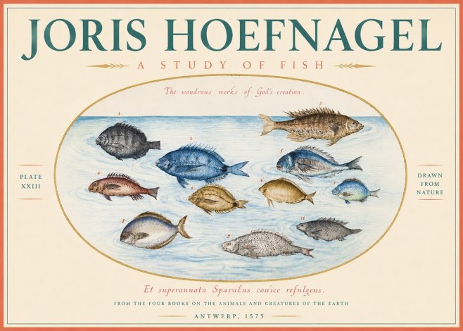 Joris Hoefnagel A Study of Fish No3 - Poster