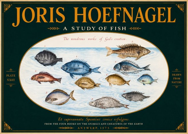 Joris Hoefnagel A Study of Fish No4 - Poster