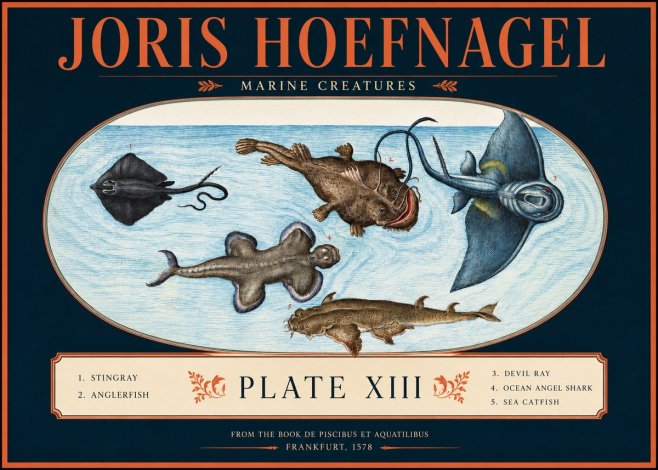 Joris Hoefnagel Marine Creatures Plate Xiii No2 - Poster