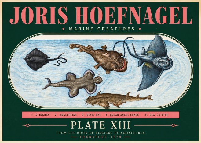 Joris Hoefnagel Marine Creatures Plate Xiii No3 - Poster